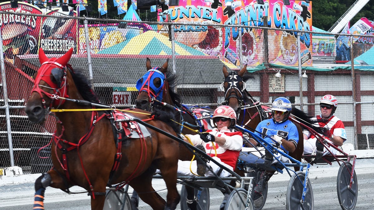 163 Wayne County Fair Harness Racing Art Jones Dibery Oval