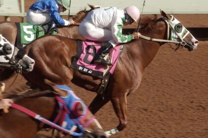 The former jockey, who is now a trainer, has been appointed to the Ruido So Downs Racing Hall of Fame