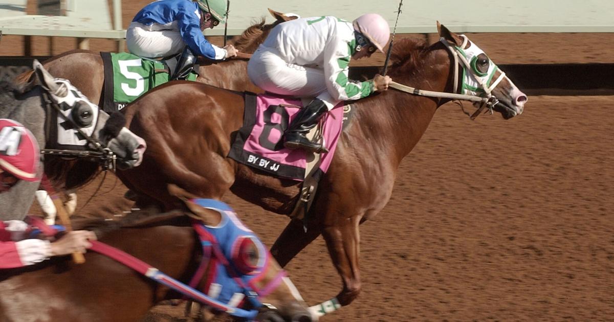 The former jockey, who is now a trainer, has been appointed to the Ruido So Downs Racing Hall of Fame