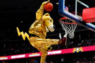 Ex-Nuggets mascot sues team for illegal termination after undergoing hip surgery, discrimination