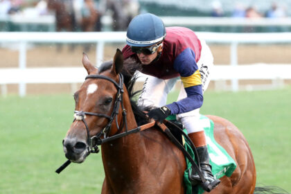 Equestrian Analysis: Blue