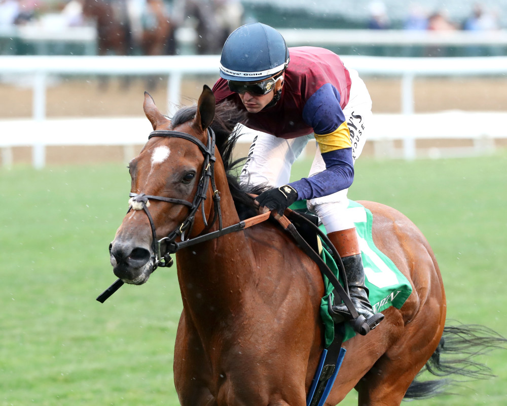 Equestrian Analysis: Blue