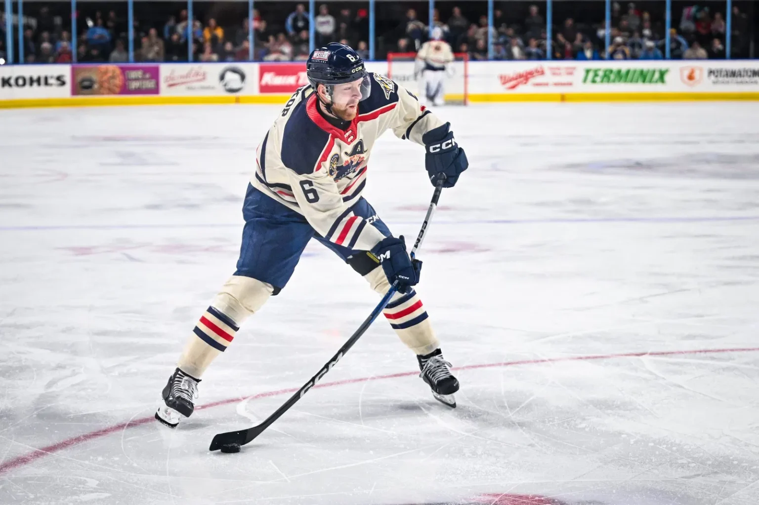 Nashville Predator 2020 Draft Pick, Admiral's Defenseman Luke Procop Sign and Bakersfield