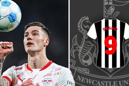 Newcastle provided the opportunity to sign a £65 million "monster"