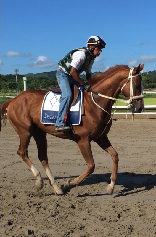 Puerto Rico Iron Man? Jockey wins North American top record at 72