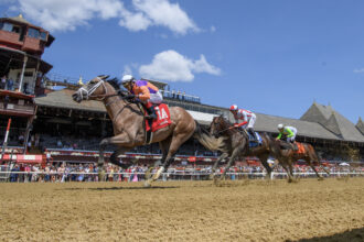 Good weather, good lace: Whitney day in the photo