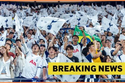 Tottenham fans