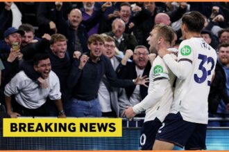 West Ham offers forwarding stances to star players within the Tottenham Link