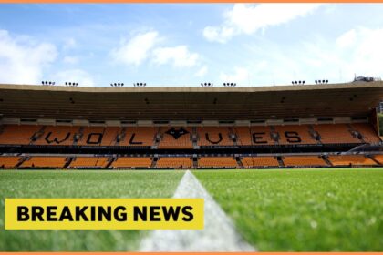 The Wolves handed over the next five games of Premier League boost after a no-win start