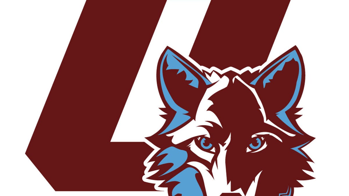 Okemos, Lansing Catholic team title mix