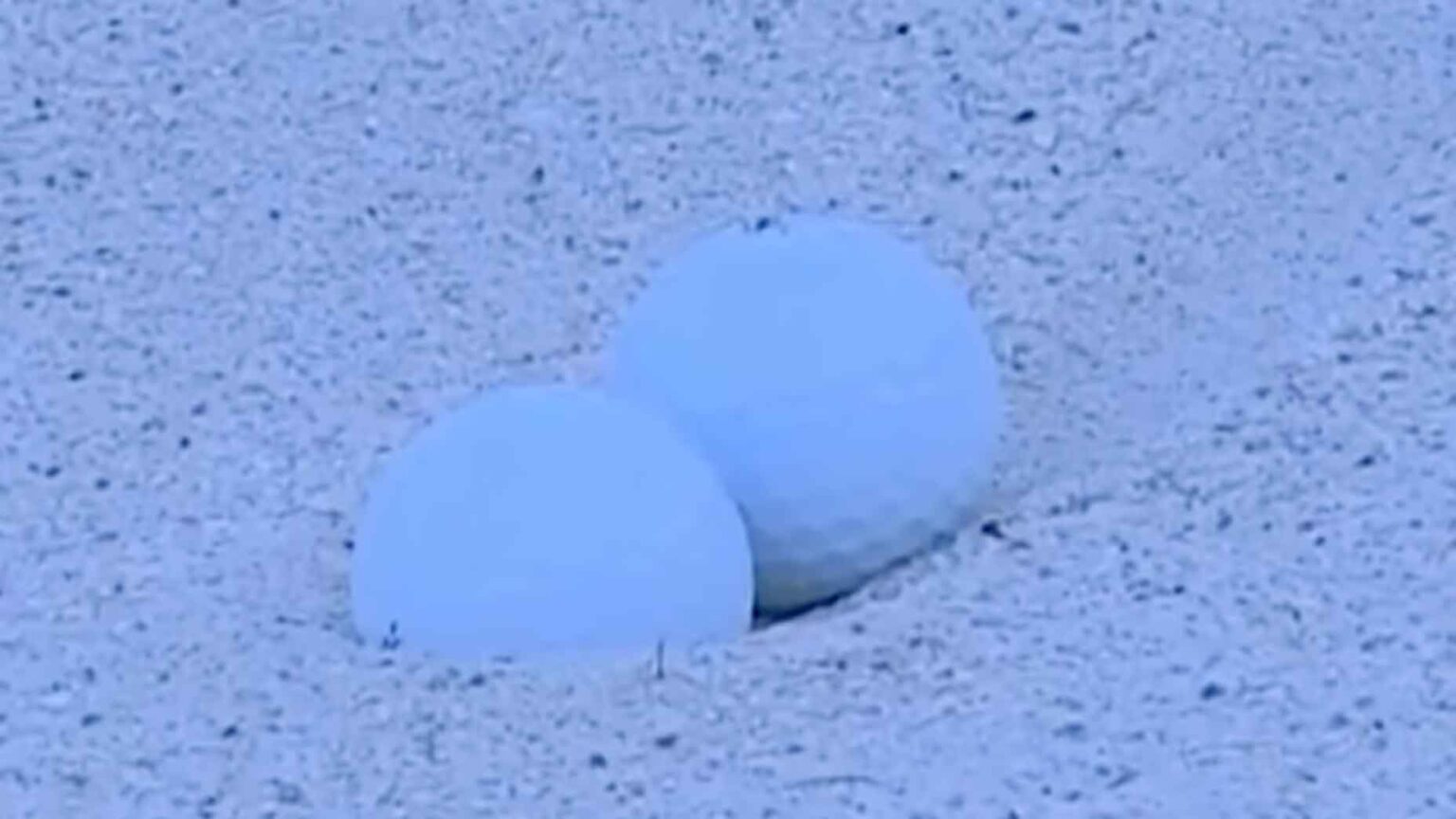 Pros encounter unusual bunker ruling at the Sanderson Farms Championship