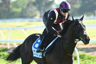 2025 Melbourne Cup Day Tips: Who to root for in every race?