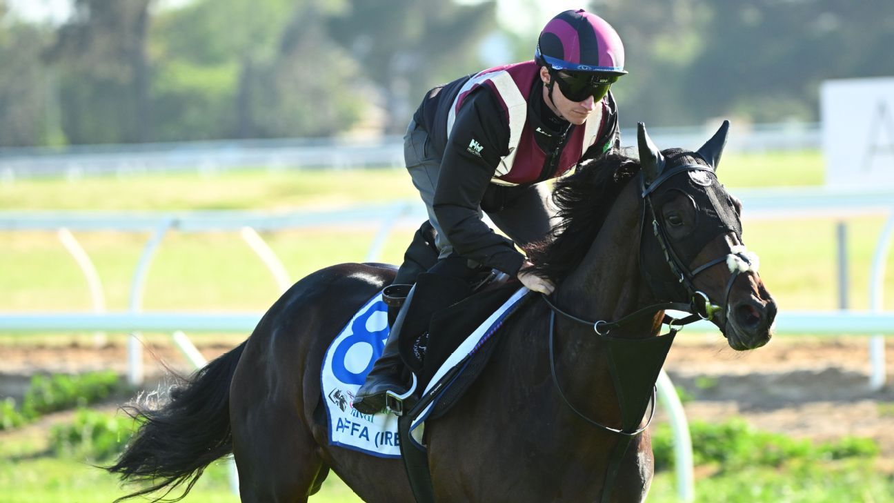 2025 Melbourne Cup Day Tips: Who to root for in every race?