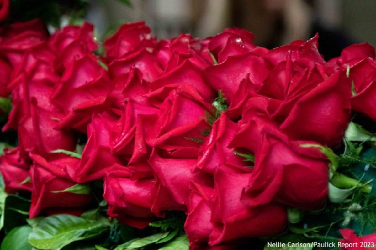 Download app from appStore