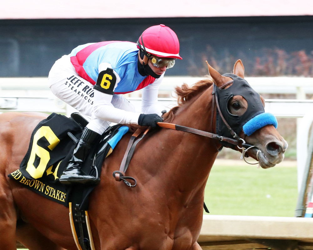 Download app from appStore