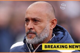 Nuno Espirito Santo looks on during West Ham vs Newcastle