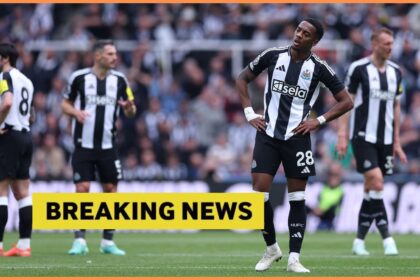 Joe Willock of Newcastle United