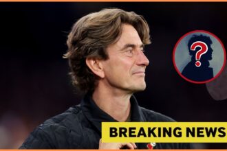 Tottenham breaking news