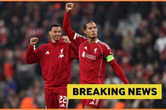 Virgil van Dijk celebrates Liverpool