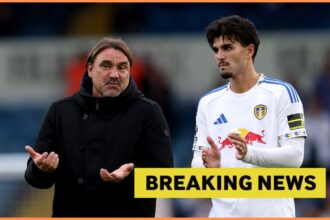 Daniel Farke hints at joining English club if released by Leeds