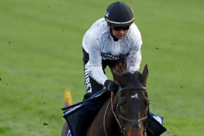 Download app from appStore