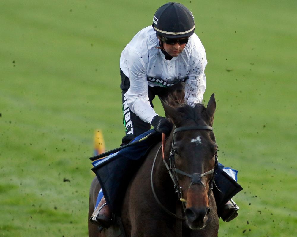 Download app from appStore