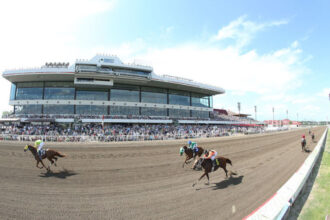 Download app from appStore