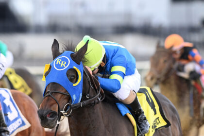 Download app from appStore