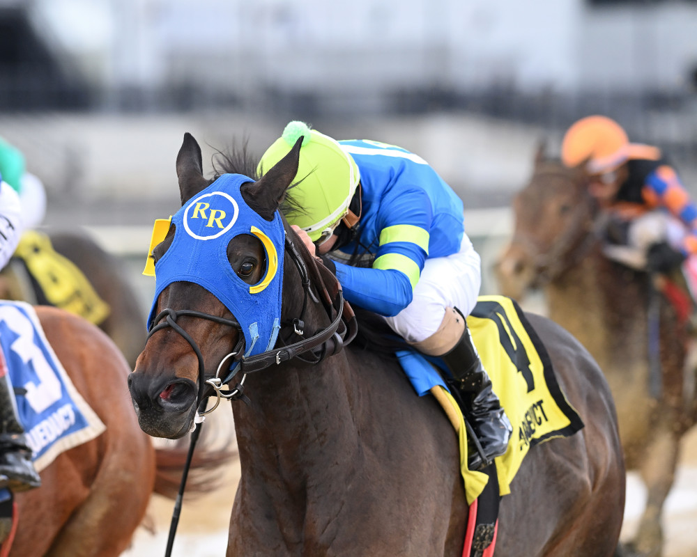 Download app from appStore