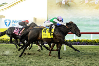 Download app from appStore