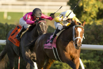 Download app from appStore