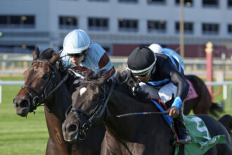 Download app from appStore