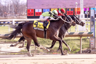 Download app from appStore