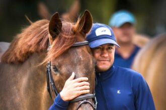 Download app from appStore