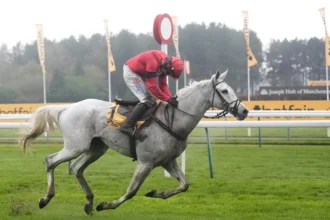 Download app from appStore