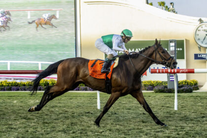 Download app from appStore