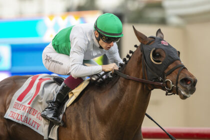 Download app from appStore