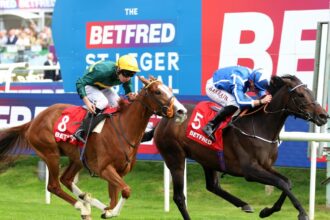 Download app from appStore