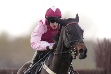 Download app from appStore