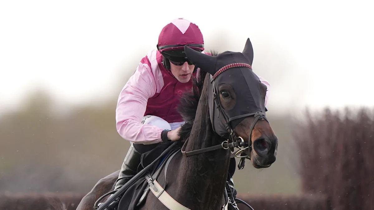 Download app from appStore