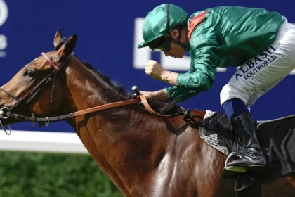 Download app from appStore