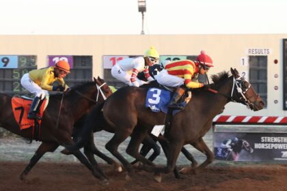 Download app from appStore