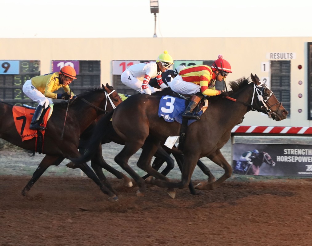 Download app from appStore