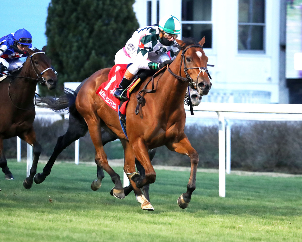 Download app from appStore