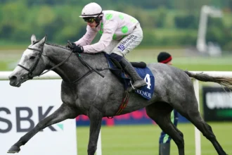 Download app from appStore