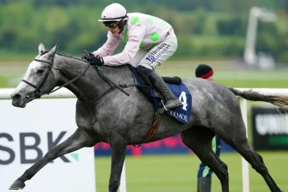 Download app from appStore