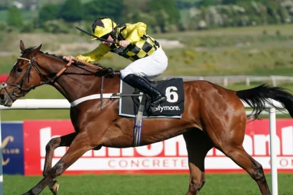 Download app from appStore