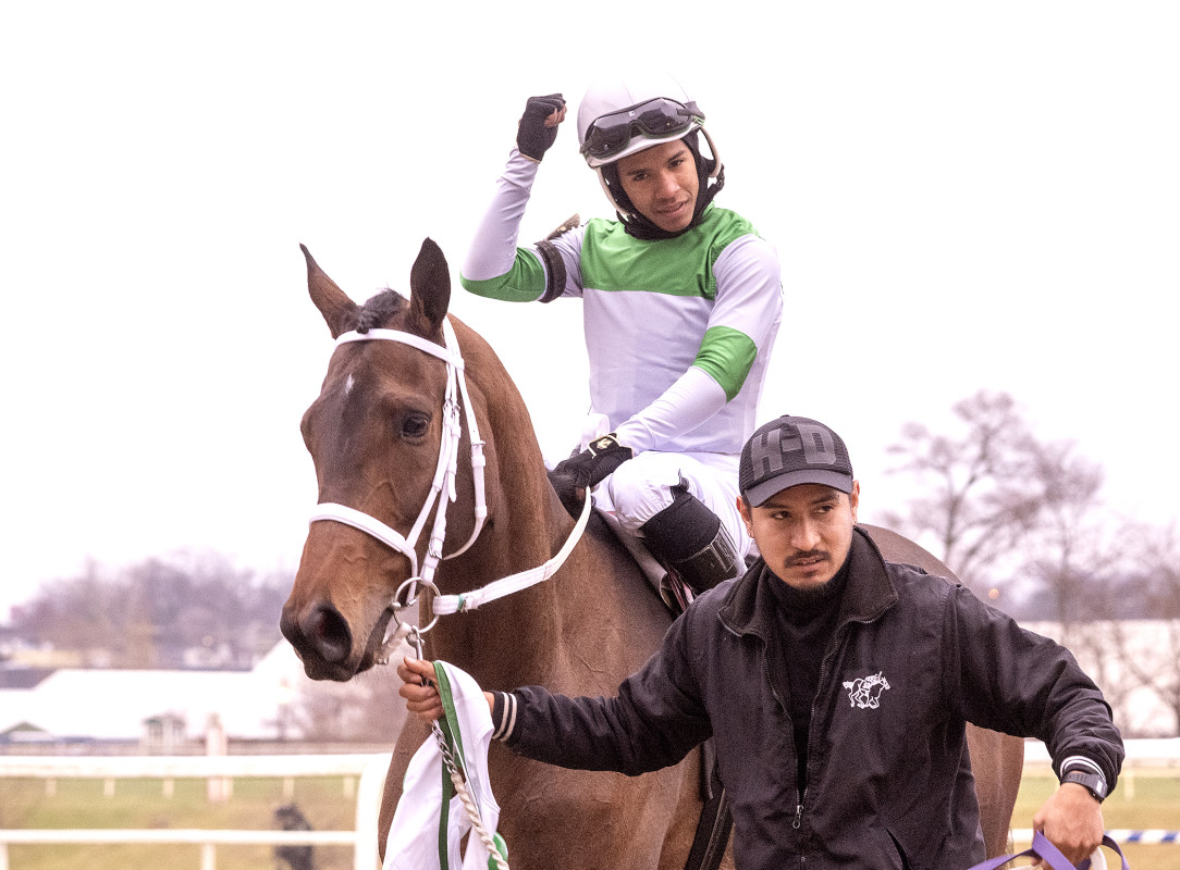 Download app from appStore