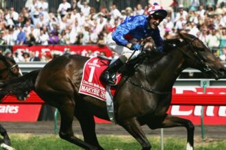 Melbourne Cup: All-time records, stats and everything you need to know