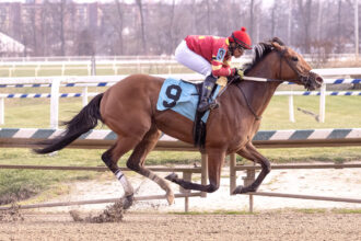 Download app from appStore